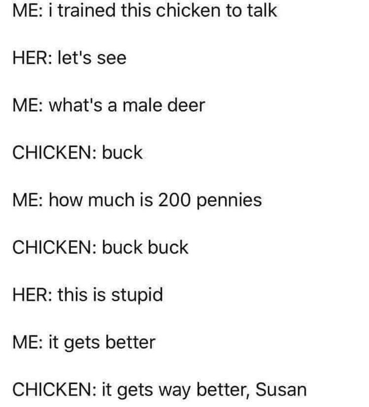 I Trained This Chicken