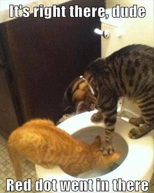 It's Right There Dude