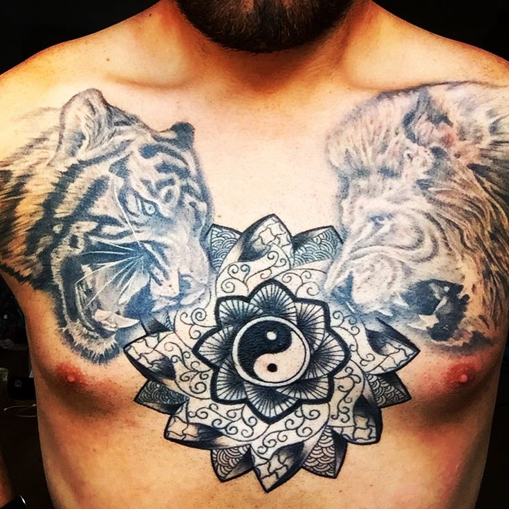 40 Fantastic Animal Chest Tattoo Pics