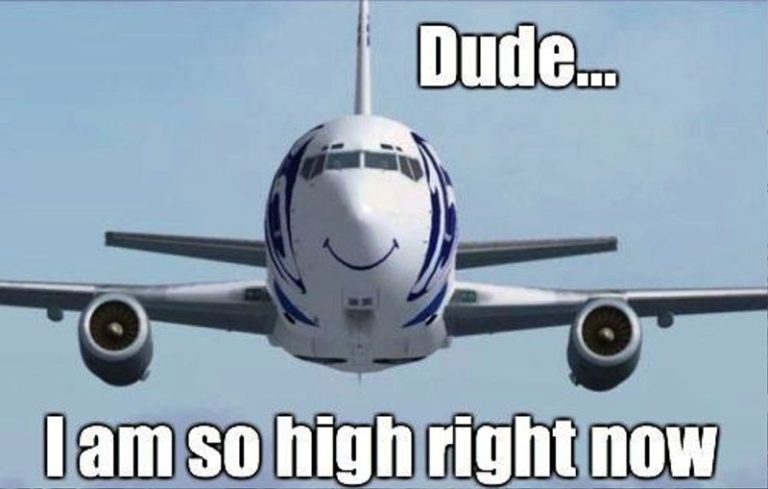 roger roger airplane meme